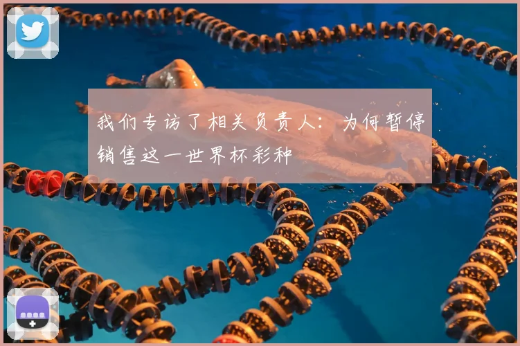 我们专访了相关负责人：为何暂停销售这一世界杯彩种